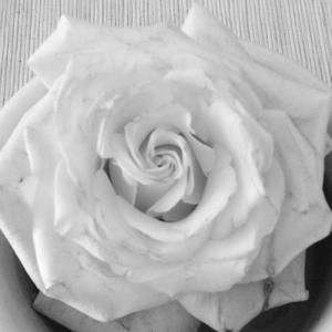 Meet your Posher, Caryn